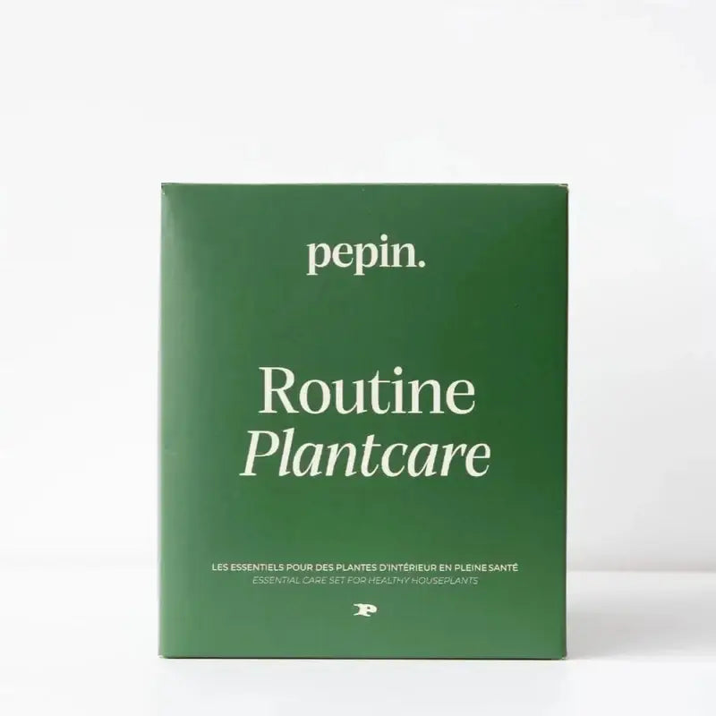 Routine de soin des plantes