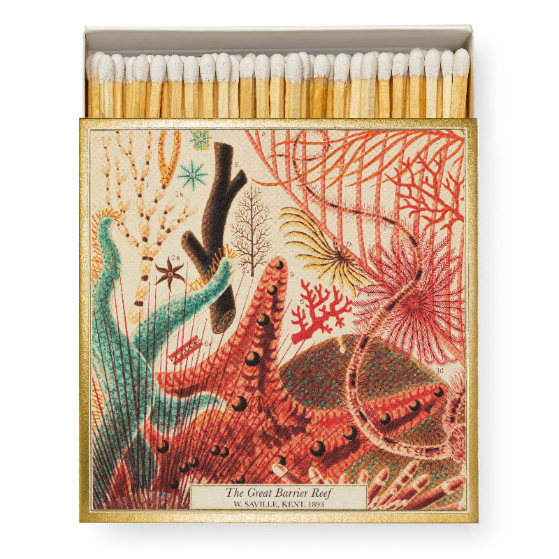 Boîte d’allumettes - Grande Barrière de Corail