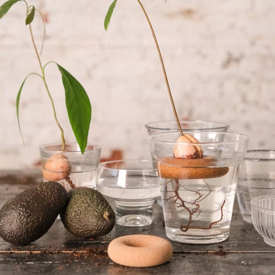 bouée avocat
