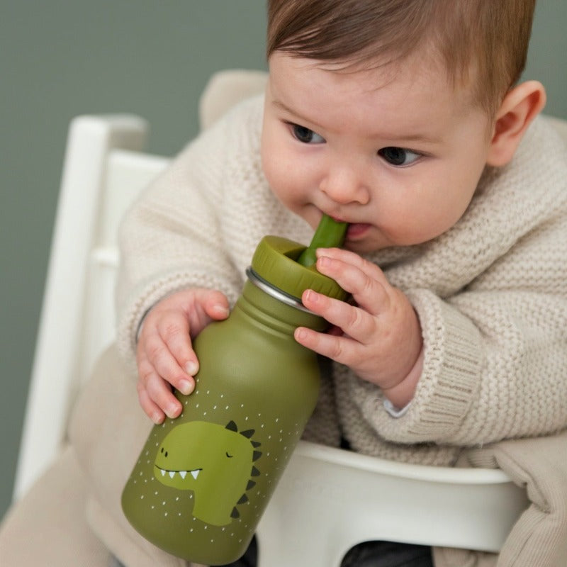 Gourde 350 ml - Mr Dino