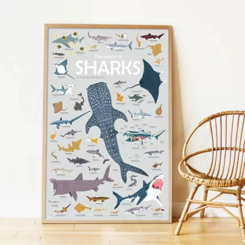 Les Requins à portée de main ! C’est possible ! UN grand poster à compléter avec des dizaines de stickers pour connaitre les différentes espèces de requins. Découvrez tout l'Univers Poppik sélectionné par Maison Moon : sticker, puzzle, coloriage, ... Caractéristiques Contient : 1 poster éducatif XXL 95 stickers repositionnables Tous publics : dès 4 ans Notre avis : une activité récréative et éducative à la fois
