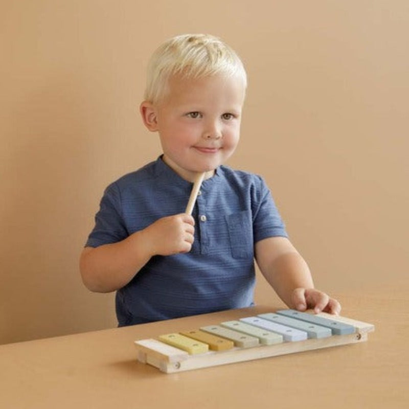 Un cadeau parfait pour l'enfant qui aime la musique ou pour susciter son intérêt. Apprenez à jouer de la musique sur le chouette Xylophone en bois de Little Dutch. Ce Xylophone aux couleurs joyeuses est livré avec deux baguettes de percussion. Caractéristiques : Matériau : pin Peinture à l'eau Dimensions : 29x14,7x4,4 cm Composition : bois de pin âge : 12 mois et +