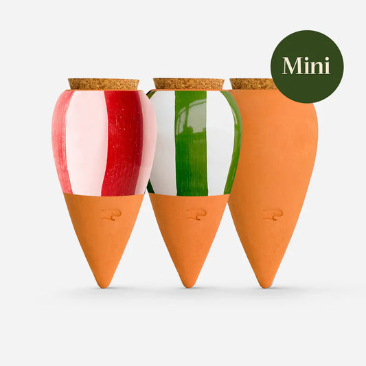 Mini-Ollas hydratantes - Trio