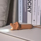 Lampe de poche