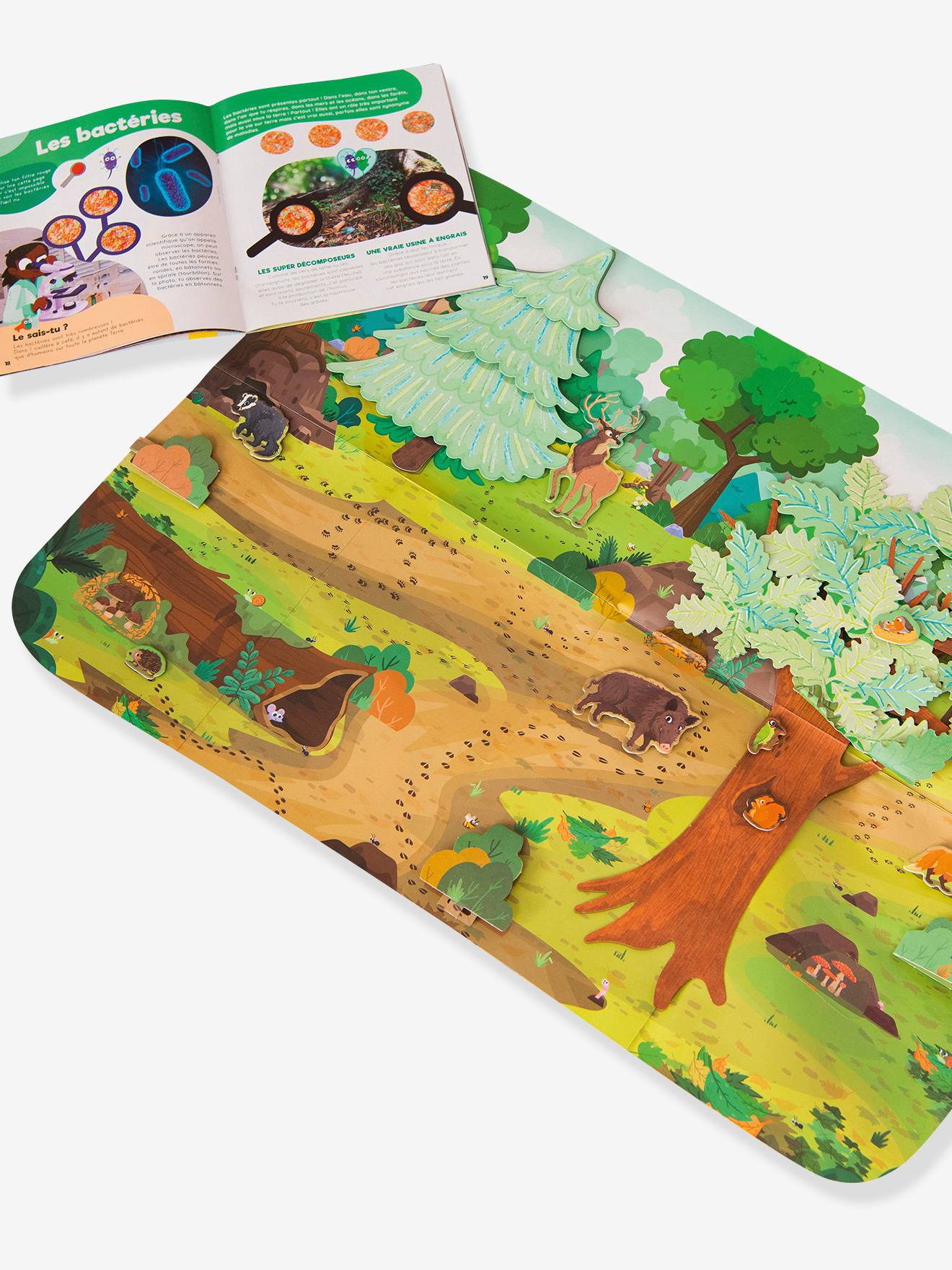 Kit Collector créatif - La forêt - 3-7 ans