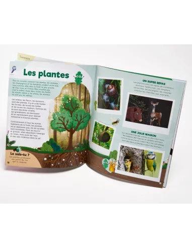 Kit Collector créatif - La forêt - 3-7 ans