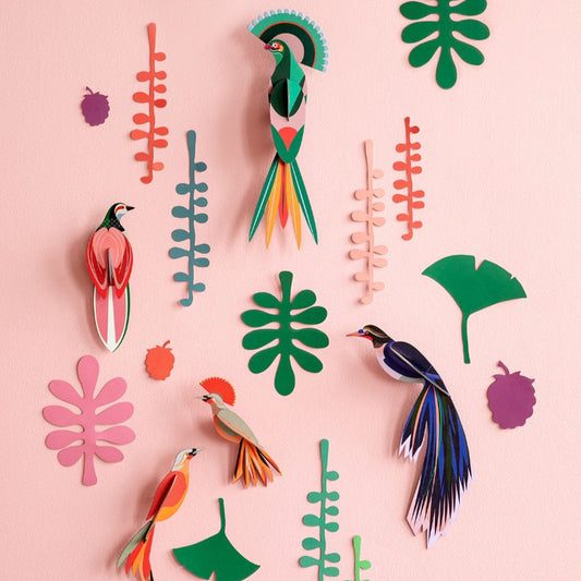 Découvrez les créations de Studio ROOF, des objets 3D à construire soi-même en carton recyclé. Facile, ludique et poétique.   Explorez la nature, étudiez la faune et la flore du monde entier ! Un coffret à déballer avec une infinité d’oiseaux 3D en carton à monter et sa végétation.  Ces oiseaux et plantes, riches en couleurs, ont voyagé des forêts tropicales jusqu’à chez vous !