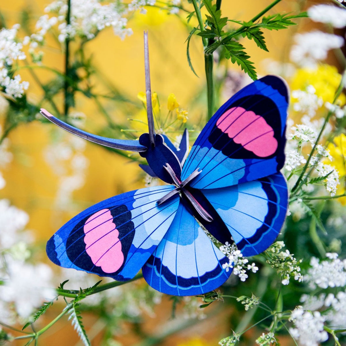 Papillon peacock blue butterfly de studio roof. Objet 3D en carton recyclé et aux encres végétales à monter soi-même. Dégradé de bleu et une touche de rose.